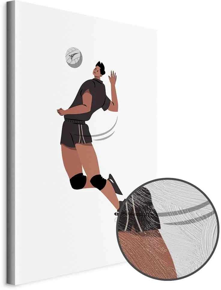 Paveikslas Tinklinio žaidėjas baltame fone