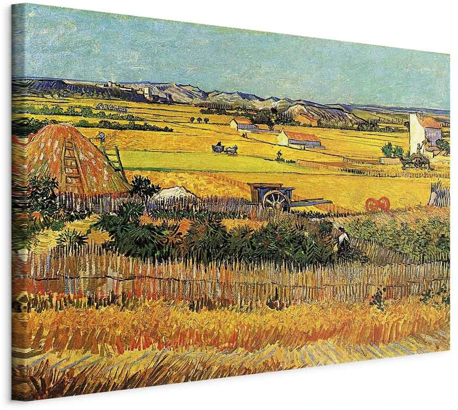 Paveikslas Vincent van Gogh - Derlius