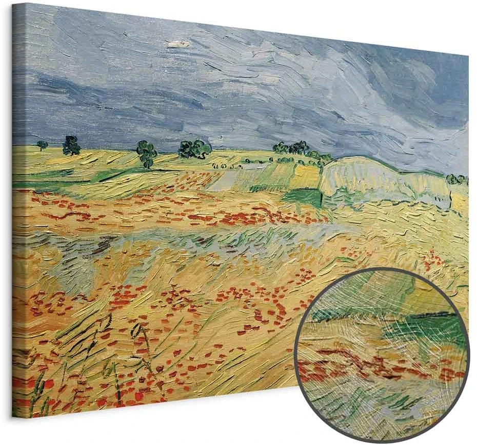 Paveikslas Vincent van Gogh - Laukai su aguonomis