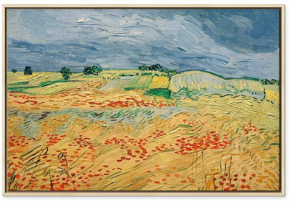 Paveikslas Vincent van Gogh - Laukai su aguonomis