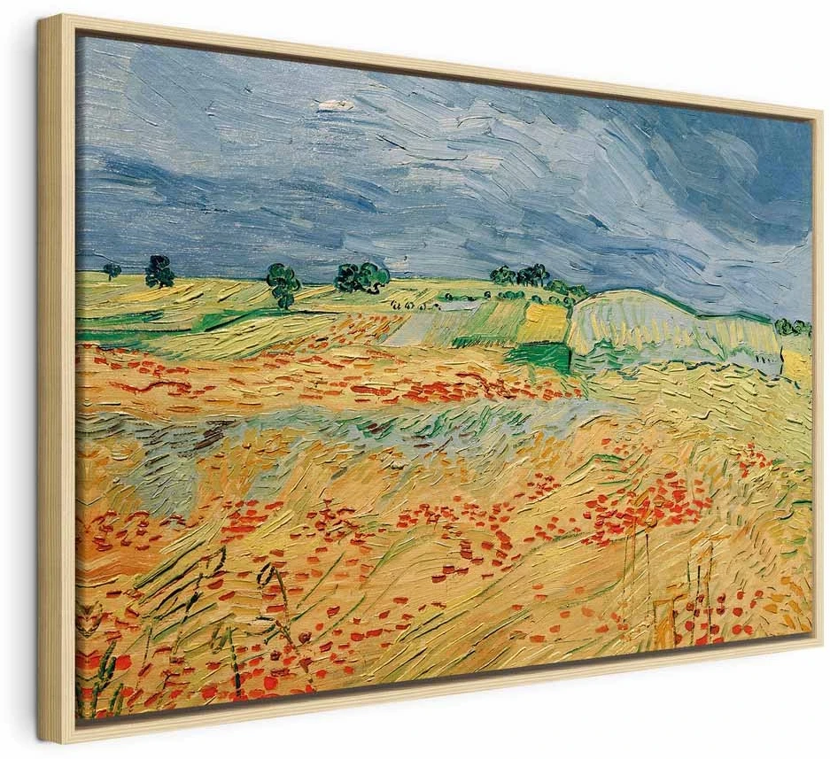 Paveikslas Vincent van Gogh - Laukai su aguonomis