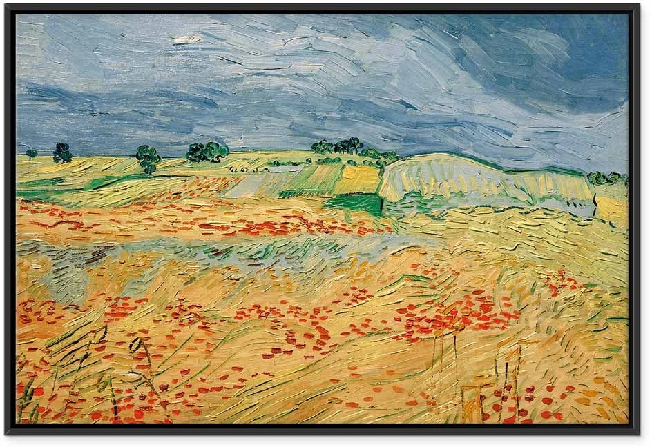 Paveikslas Vincent van Gogh - Laukai su aguonomis