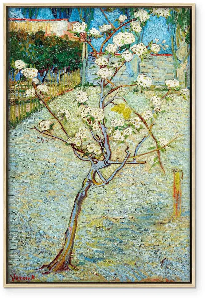 Paveikslas Vincent van Gogh - Žydinti kriaušė