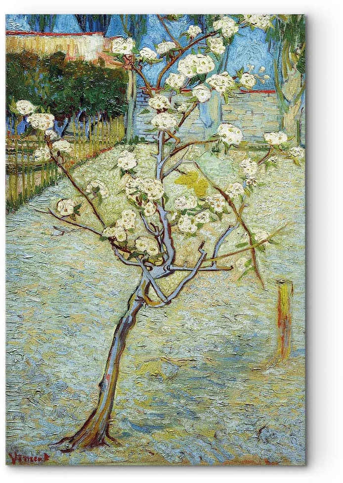 Paveikslas Vincent van Gogh - Žydinti kriaušė