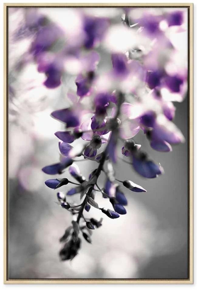 Paveikslas Violetinis skambutis