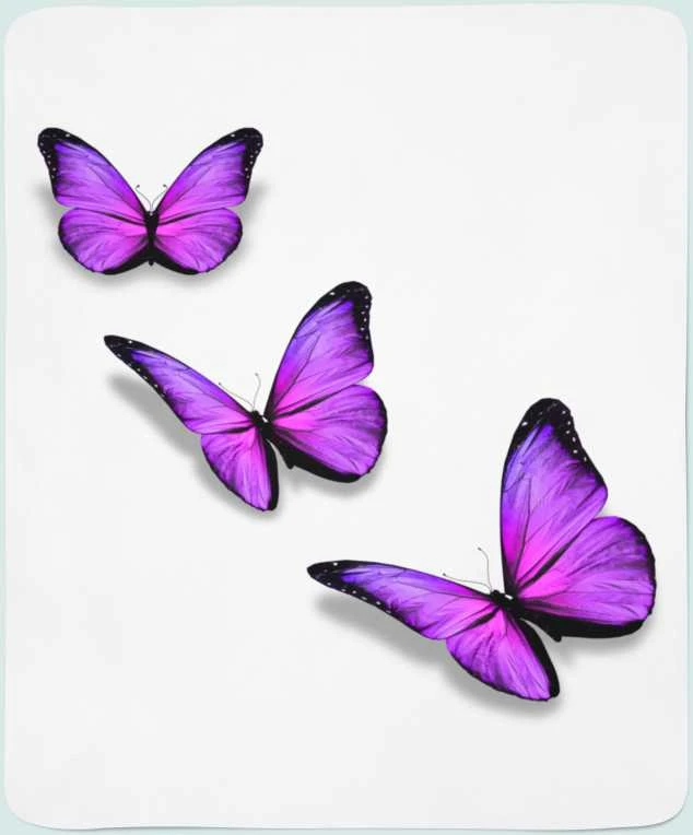 Pledas Violetinis drugelis