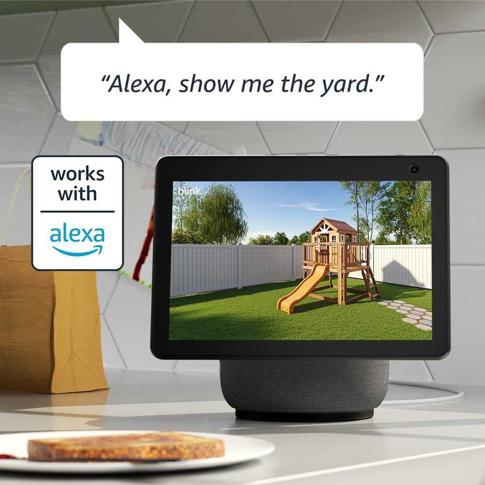 Amazon Blink Outdoor 4 Two Cameras