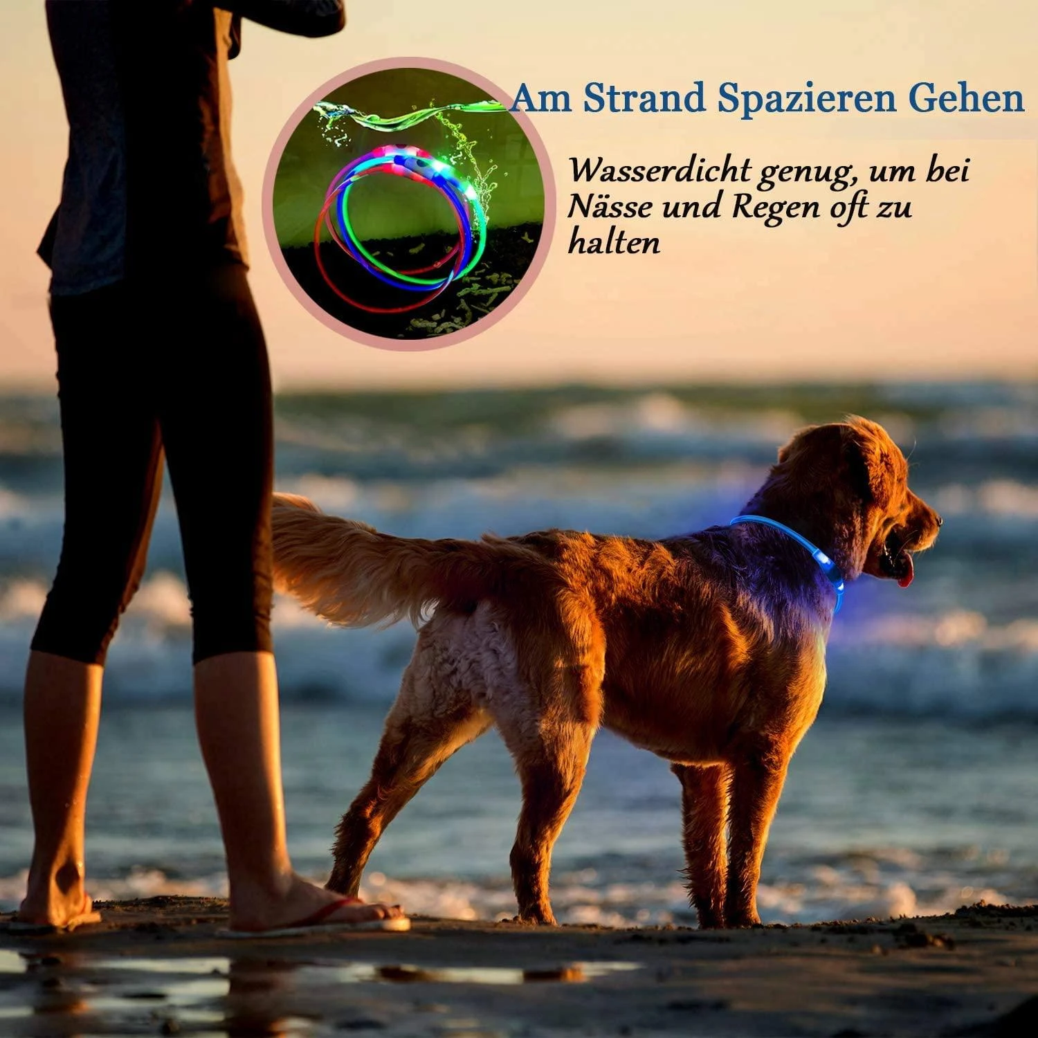 KABB LED Collar for Dogs and Cats Mėlyna