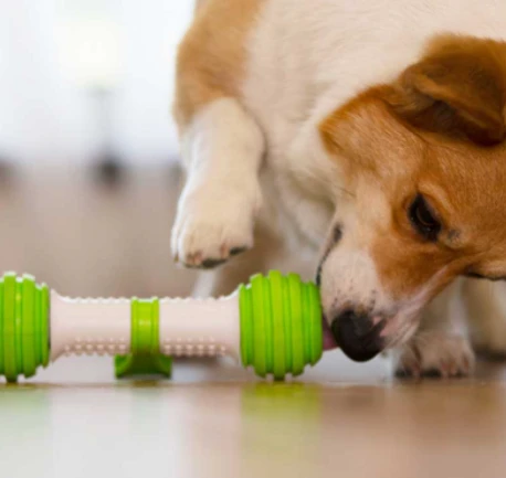 Doggy Village Rolling Bone Mobilus, riedantis, interaktyvus kaulinis žaislas vidutiniams ir dideliems šunims