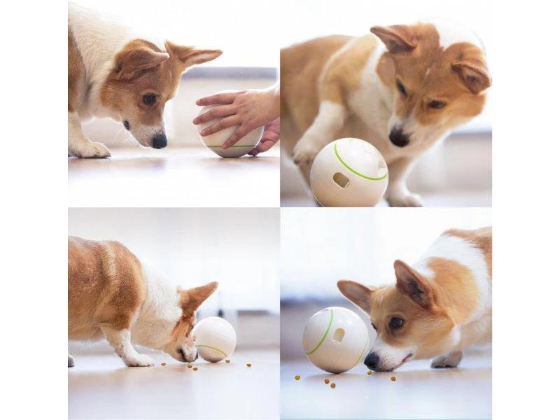 Doggy Village Prize ORB Judantis, interaktyvus kamuolys su Skanėstais vidutiniams ir dideliems šunims