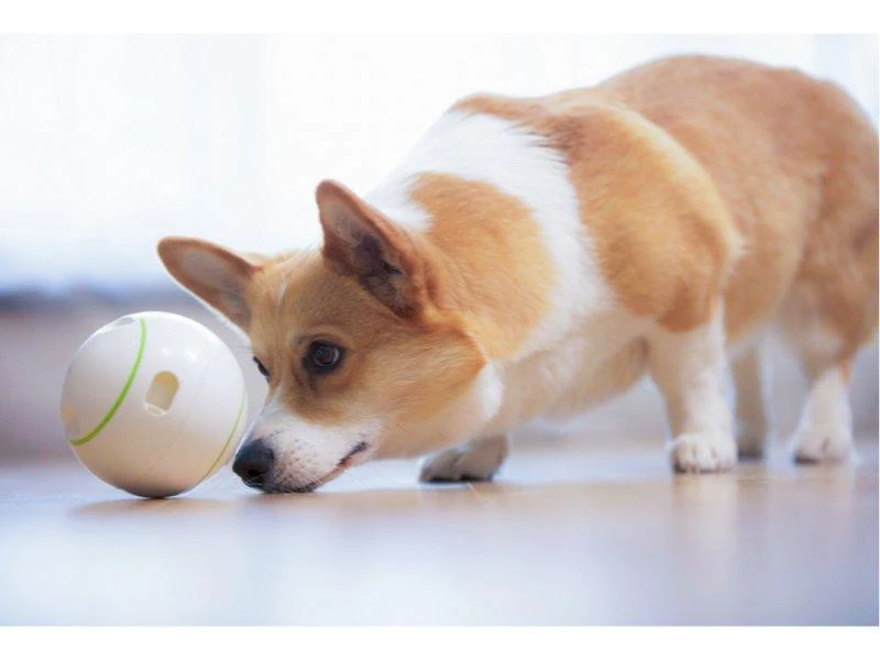 Doggy Village Prize ORB Judantis, interaktyvus kamuolys su Skanėstais vidutiniams ir dideliems šunims