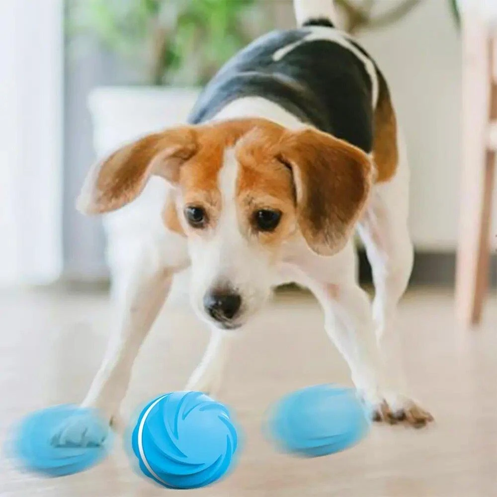 Doggy Village Frantic ORB Judantis, interaktyvus kamuolys su spalvingu apšvietimu šunims