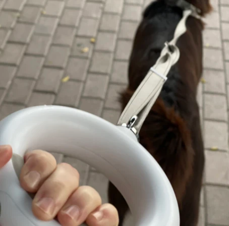 Doggy Village LUMINOUS Pavadėlis - Tvirtas 3 viename pavadėlis su LED žibintuvėliu, spalvotu rankenos apšvietimu ir higieninio maišelio dozatoriumi vidutiniams ir dideliems šunims, rožinė