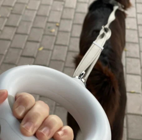 Doggy Village LUMINOUS Pavadėlis - Tvirtas 3 viename pavadėlis su LED žibintuvėliu, spalvotu rankenos apšvietimu ir higieninio maišelio dozatoriumi vidutiniams ir dideliems šunims, pilkas