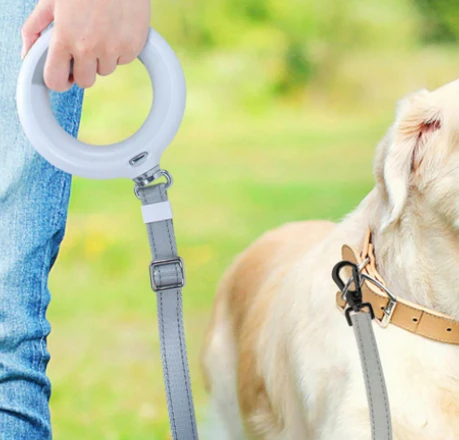 Doggy Village LUMINOUS Pavadėlis - Tvirtas 3 viename pavadėlis su LED žibintuvėliu, spalvotu rankenos apšvietimu ir higieninio maišelio dozatoriumi vidutiniams ir dideliems šunims, pilkas
