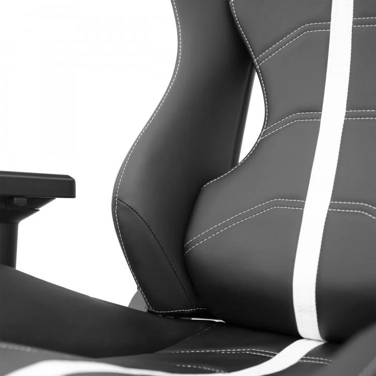 Žaidimų kėdė eShark Tokugawa Gaming Chair