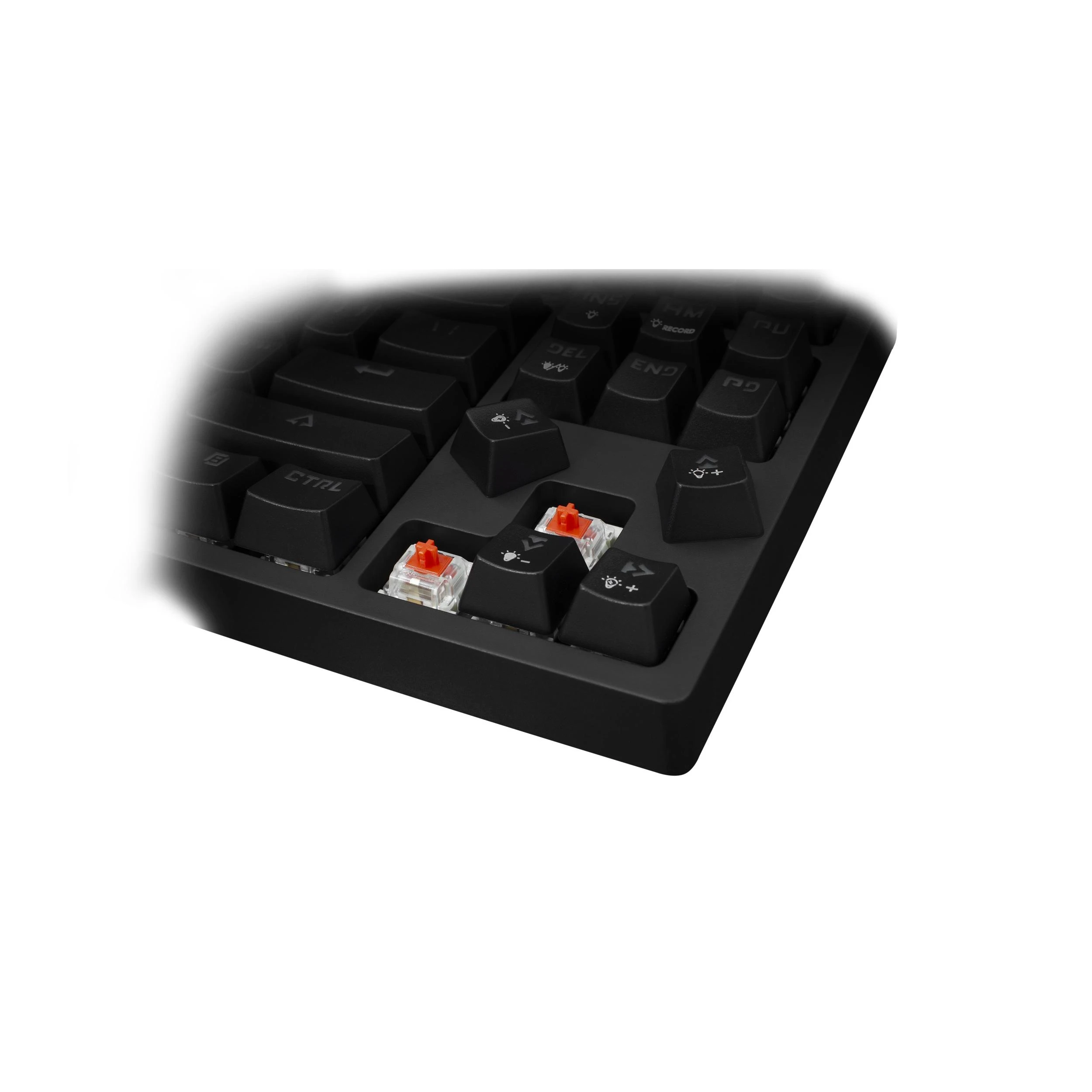 Mechaninė TKL RGB klaviatūra žaidimams eShark Kodachi, Red Switch (+10 Blue Switch), US išdėstymas