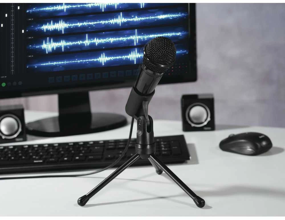 Mikrofonas Hama MIC-USB Allround (139906)