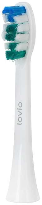 Lovio SonicProtect dantų šepetėlio galvutė su spalvotais šereliais