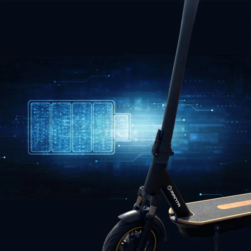 Paspirtukas elektrinė Manta X-Rider