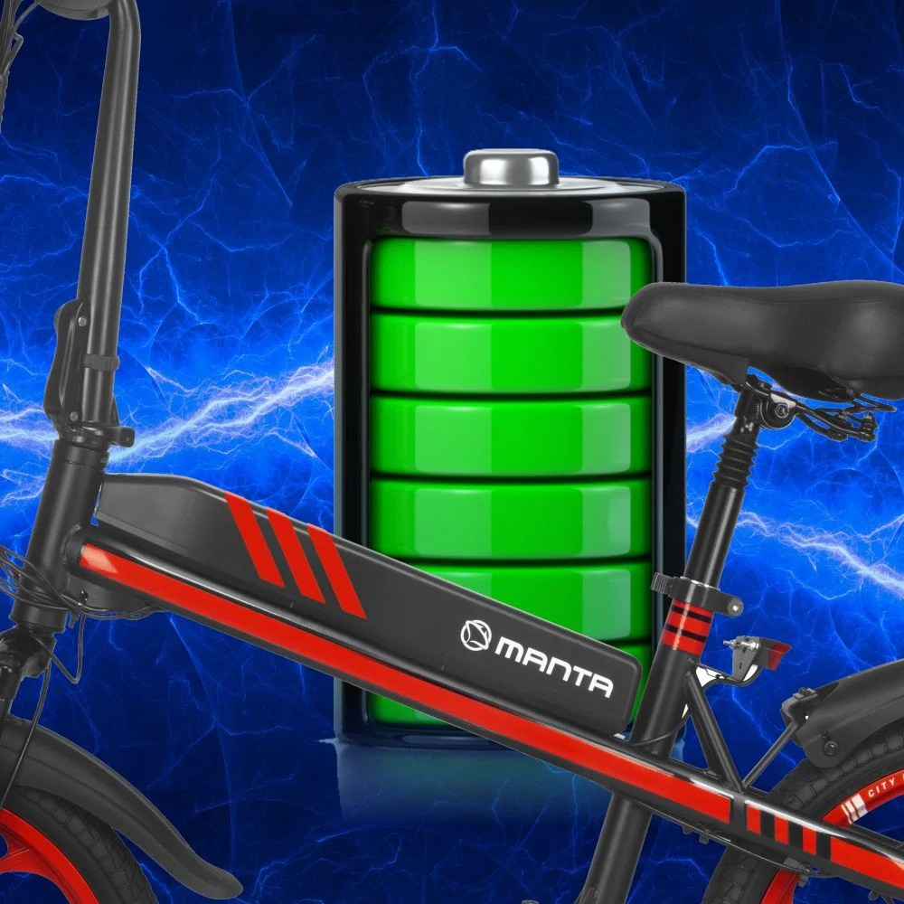MANTA Elektromobilis Flinston 20" 350W