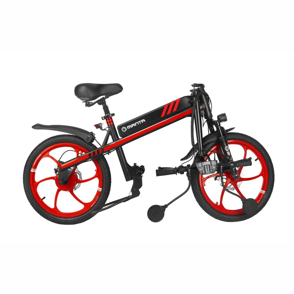 MANTA Elektromobilis Flinston 20" 350W