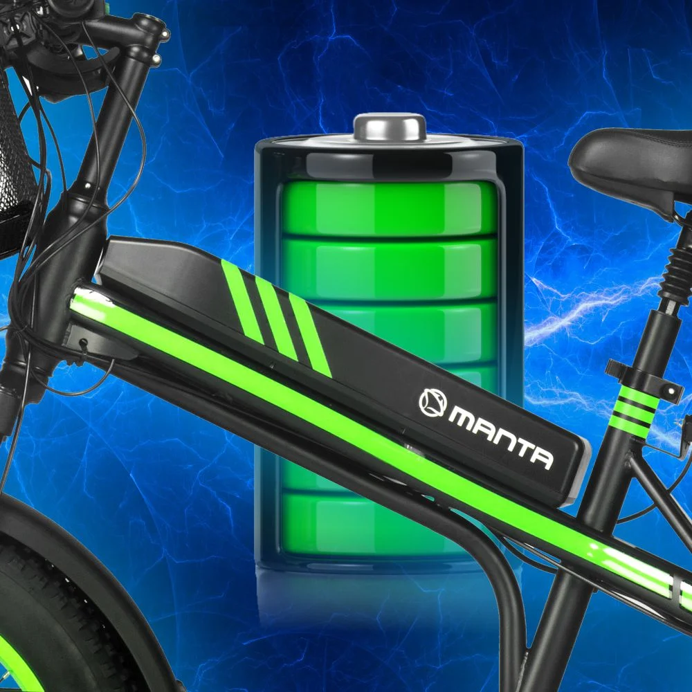 MANTA Elektromobilis FAT Flinston 20" 350 W