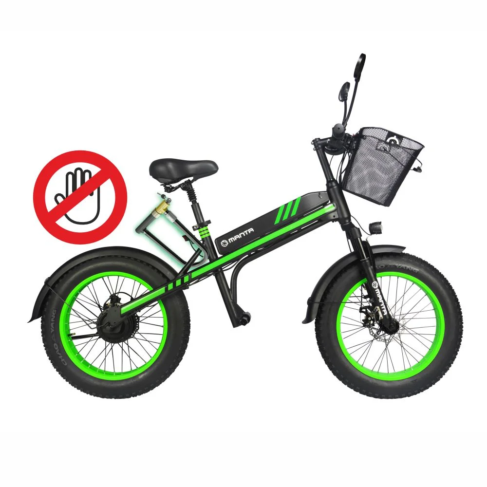 MANTA Elektromobilis FAT Flinston 20" 350 W