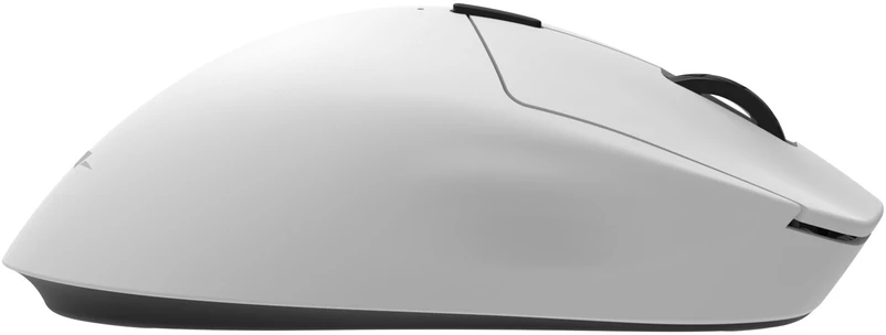 Pelė White Shark Baltas Shark TOR WGM-5024, Baltas