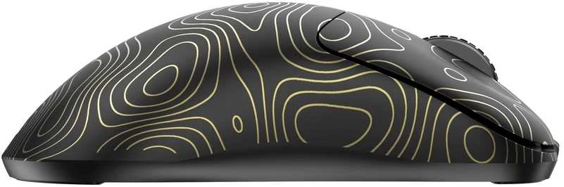 White shark Baltasis ryklys Baltas Shark WGM-5015 Aero Gold