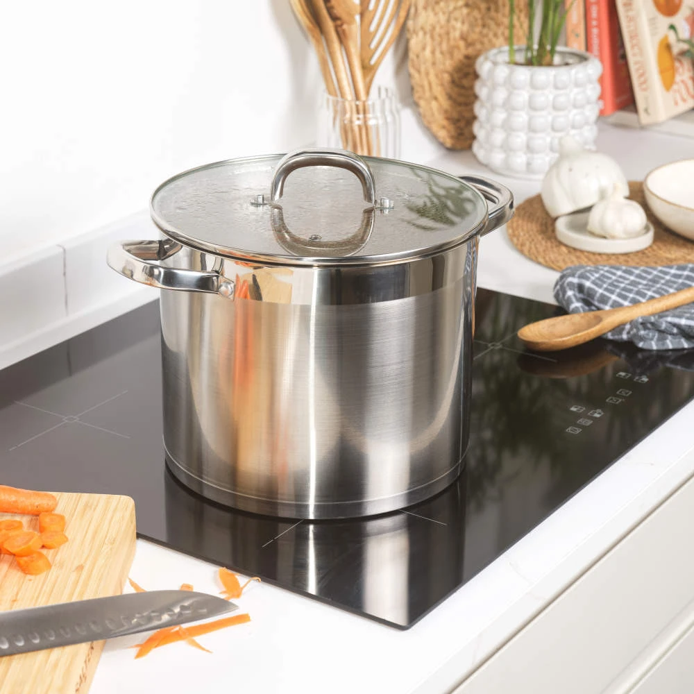 Salter BW13905 Timeless 24 cm Stockpot