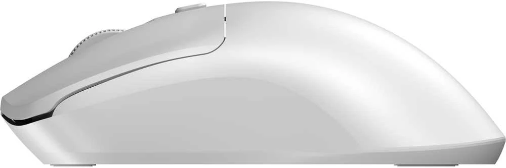 Sandberg 331-05 belaidė pelė, taupanti energiją, balta, kairė ir dešinė, USB-A adapteris