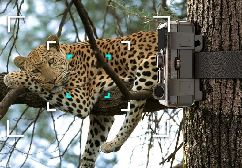 SJCAM M50 rudos spalvos kamerų gaudyklė