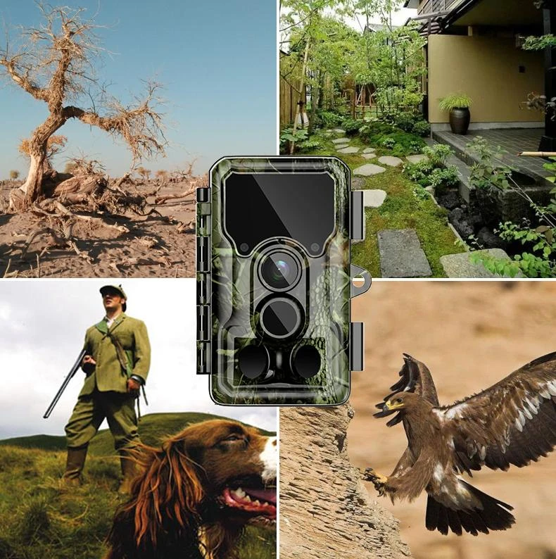 SJCAM M50 žaliosios kameros gaudyklė