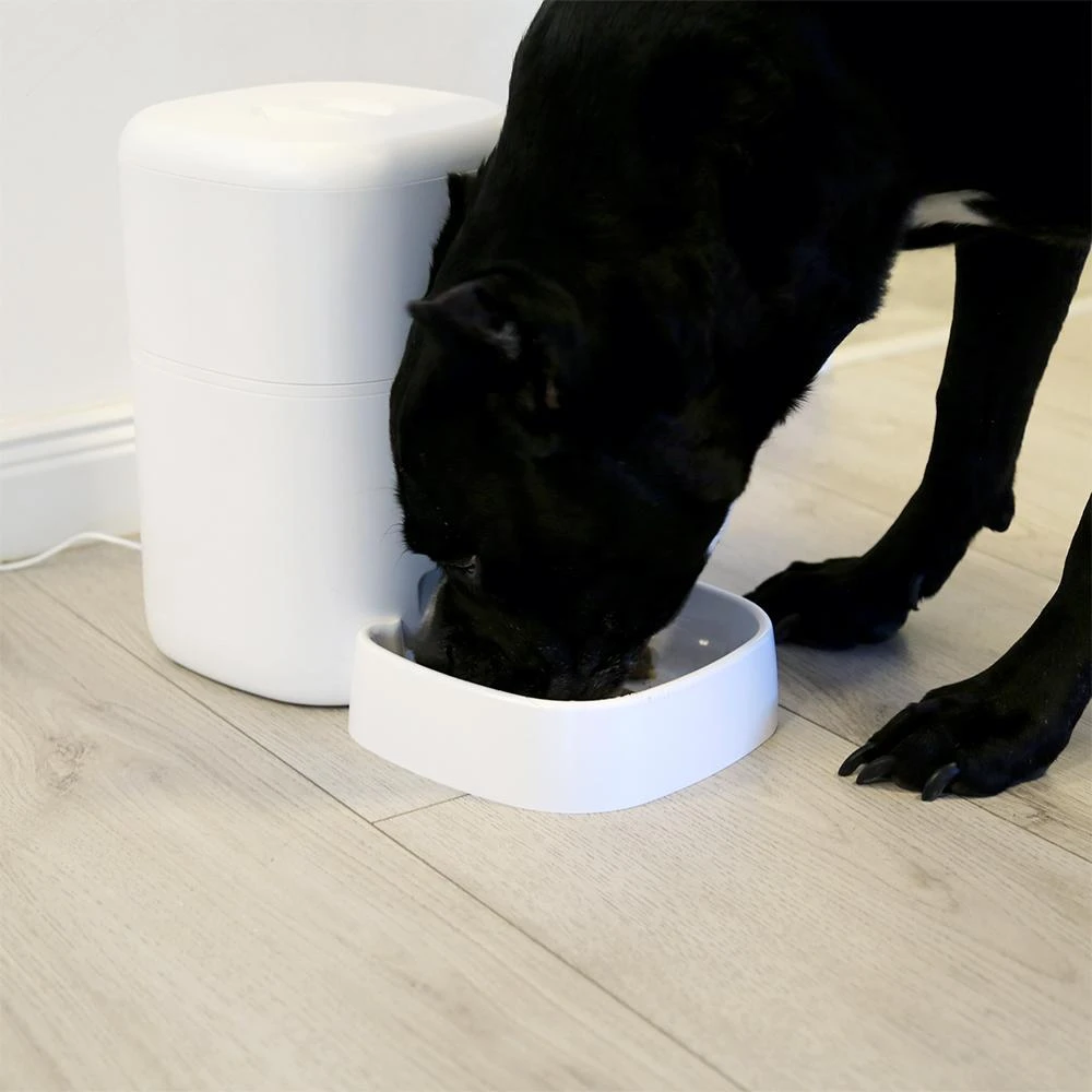 Tellur WiFi Smart Pet Feeder, UltraHD Camera, 4L, Baltas