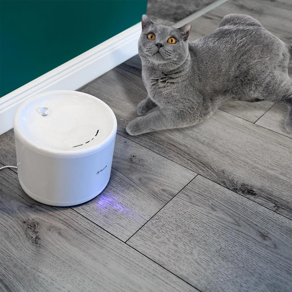 Tellur WiFi Smart Pet Vanduo Dispenser, 2L, Baltas