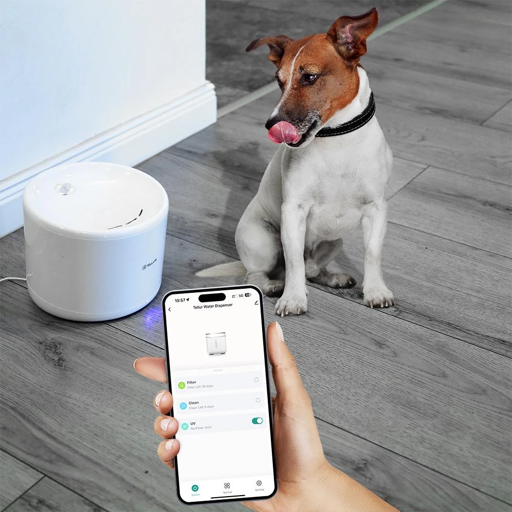 Tellur WiFi Smart Pet Vanduo Dispenser, 2L, Baltas
