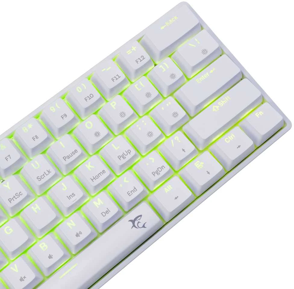 White Shark Mėlyna Klaviatūra žaidimams Baltas Shark Shinobi Mėlyna su laidu mechaninė su pašvietimu balta
