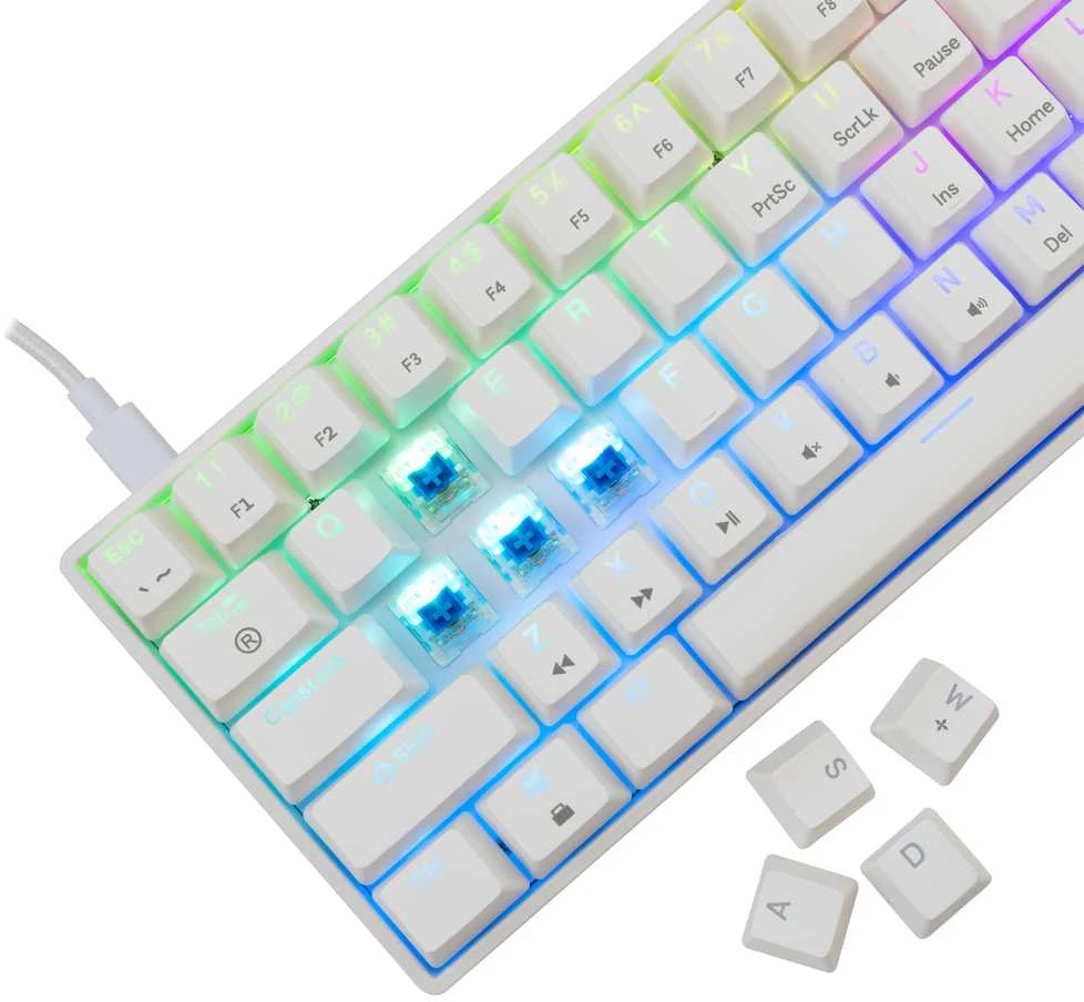 White Shark Mėlyna Klaviatūra žaidimams Baltas Shark Shinobi Mėlyna su laidu mechaninė su pašvietimu balta