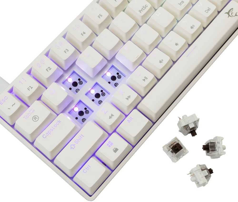 White Shark Baltas Shark Baltas Shark žaidimų mechaninė klaviatūra SHINOBI 2 , US išdėstymas, Brown switch, Baltas (GK-004231)