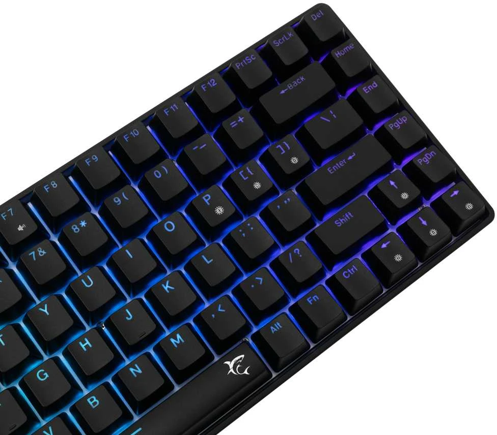 White Shark Baltas Shark Baltas Shark HAMACHI Gaming Membrane Klaviatūra, RGB Lighting, Mėlyna Switch, US išdėstymas, Juodas (GK-1927)
