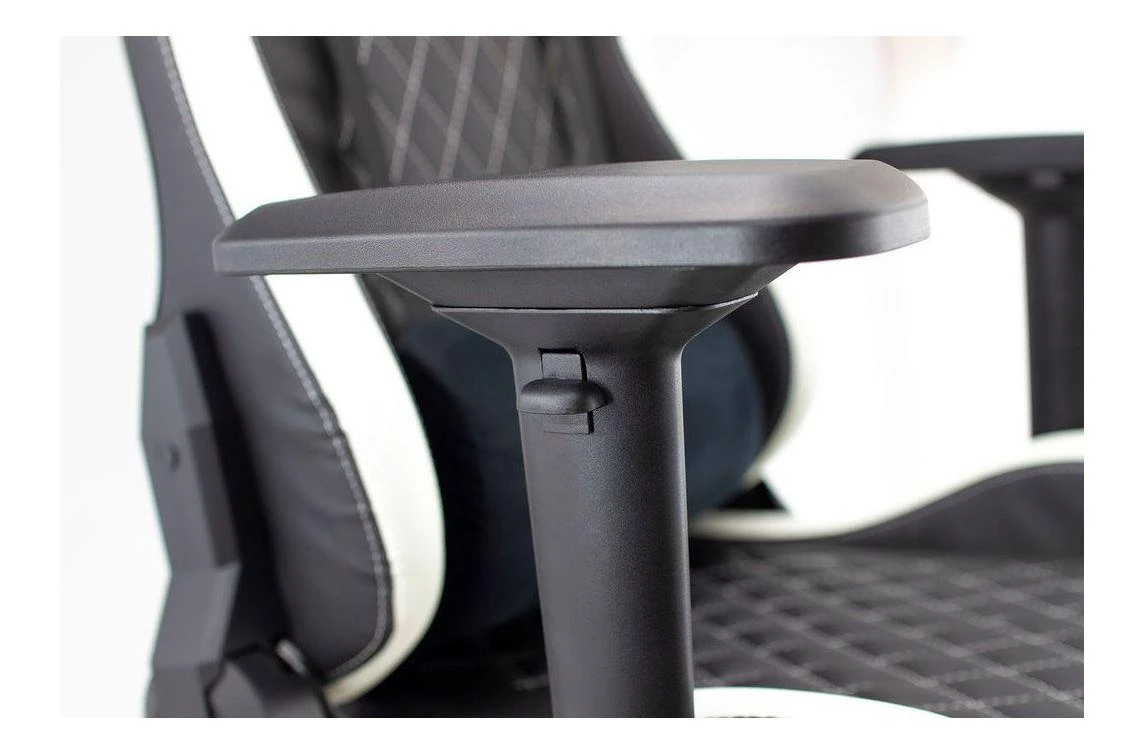 Žaidimų kėdė White Shark Nitro GT Gaming Chair, Juoda-balta