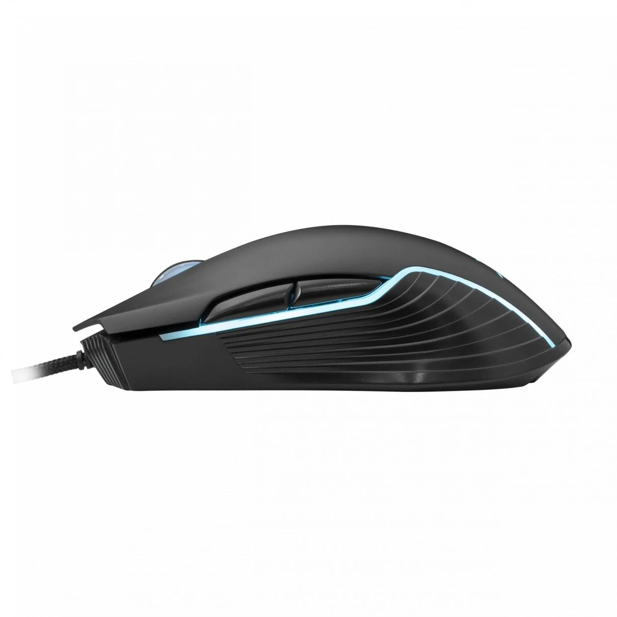 Žaidimų pelė White Shark Azarah su RGB pašvietimu
