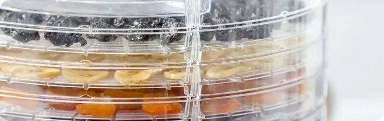 Zelmer vaisių ir grybų džiovyklė ZFD1005
