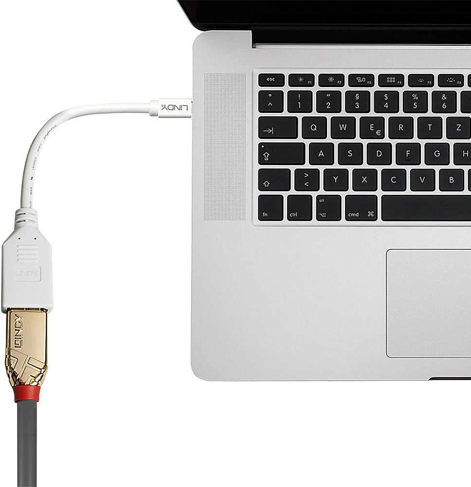 „LindyMini“ DP–DP kabelio adapteris. V/F. „Primum“ ekranuotas.