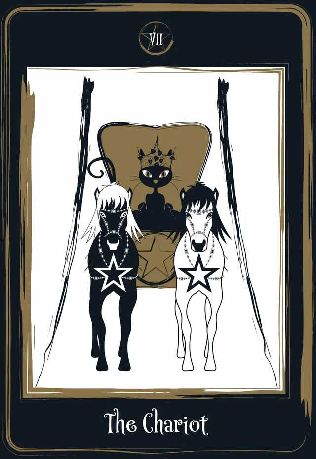 AGM Golden Juodas Cat Tarot Kortos