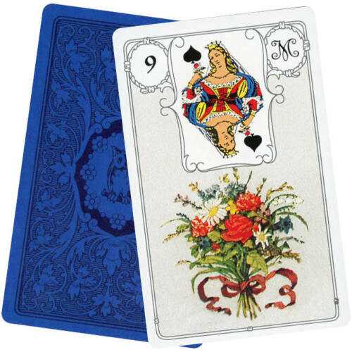 AGM Lenormand Mėlyna Owl Premium Edition Kortos