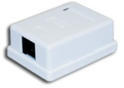 Alantec A-LAN GN005 tinklo jungiamoji dėžutė Cat5e, balta