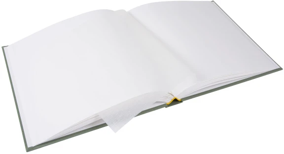 Albumas GOLDBUCH 27309 Bella Vista artichoke 30x31/ 60psl, balti lapai | kampučiai/lipdukai | knyginio rišimo