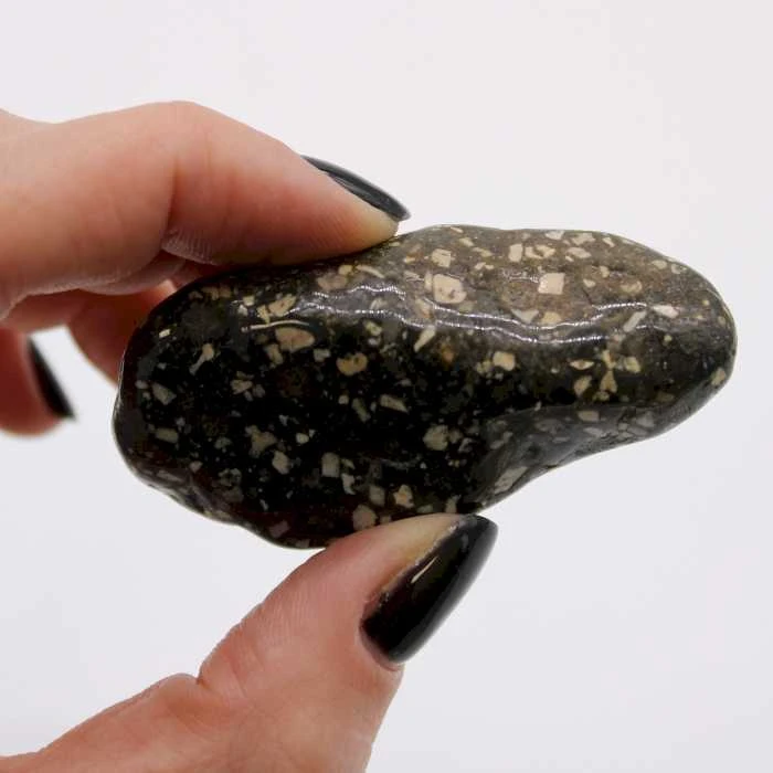 Ancient Wisdom Guinea Fowl Large (6 Vnt. L Dydžio)